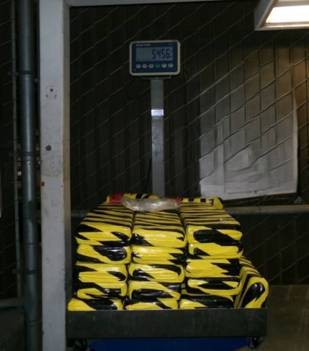 San Diego CBP seizes $24 million worth of illegal drugs in August 2025
