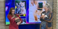 Adopt a Pet: Meet Taken and Cowboy!