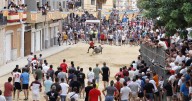À Punt ofrece en directo el Día Grande de Puçol con la desencajonada de cinco toros