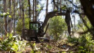 East Bay Regional Park District Completes 667-Acre Fuels Reduction Project In East Bay Hills
