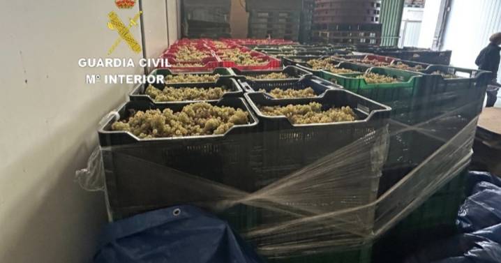El Seprona incauta 6.000 kilos de uva blanca procedente de Portugal en una nave de Pontevedra