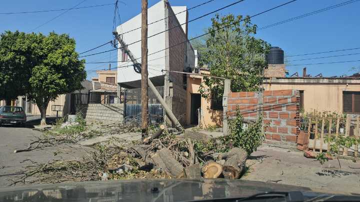 Lo que provocó el viento zonda: árboles caídos, daños a viviendas y personas lesionadas