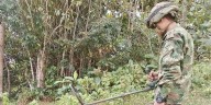 Ejército lamentó la muerte de soldado tras pisar una mina antipersonal del Clan del Golfo en Unguía, Chocó