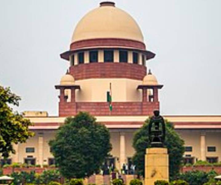 HC transfers stray dog PIL to Supreme Court