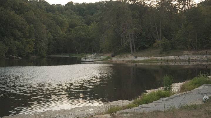 Louisville residents sound off about what they'd like to see at Jefferson Memorial Forest