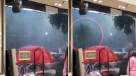 Captan caída de árbol en Coyoacán por racha de fuertes vientos y lluvia