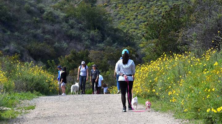 What you can do in your 40s to reach your 80s in good health