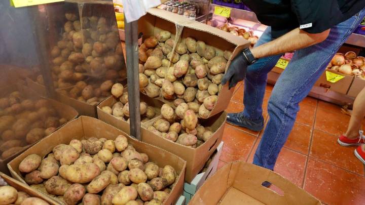 La importación de papa de Israel aumenta casi un 50% este año