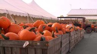 Huber's Orchard and Winery pumpkin patch named one of the best in America