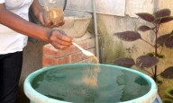 Se activan contra el dengue en Los Teques