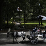 NYC mayor throws support behind bill to ban Central Park horse carriages