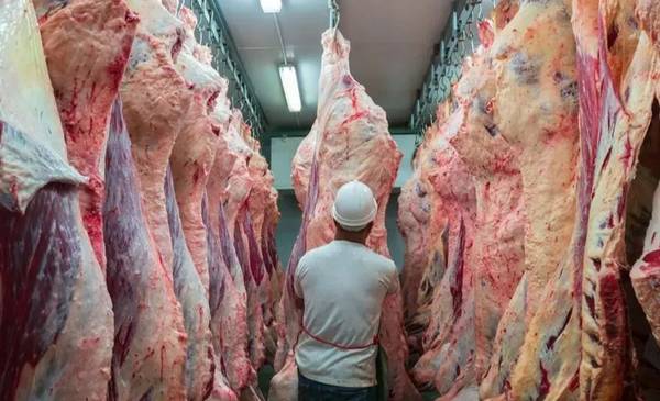 Tras eliminar retenciones a los granos para conseguir dólares, el Gobierno extiende la medida a la carne avícola y bovina