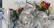 Se quiso hacer el romántico con su noviecita y terminó mal: así lo vieron robando flores