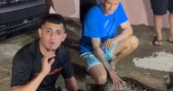 Gongo captura culebra de 17 pies: “La Culebra más grande de Puerto Rico hasta ahora”
