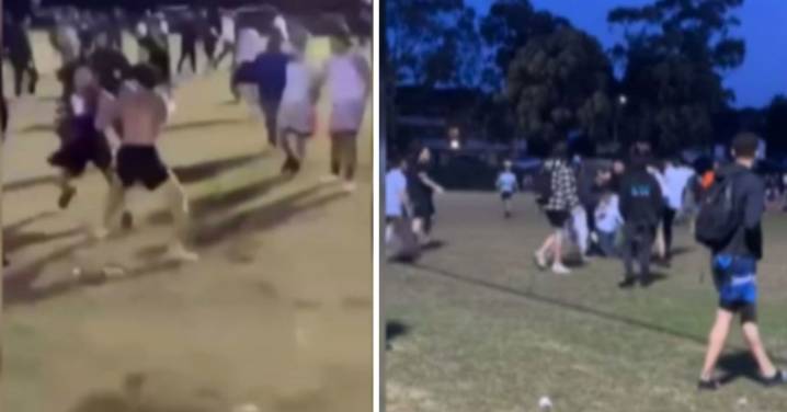Sydney news: Families caught up in OzTag brawl at Parry Park in Lakemba