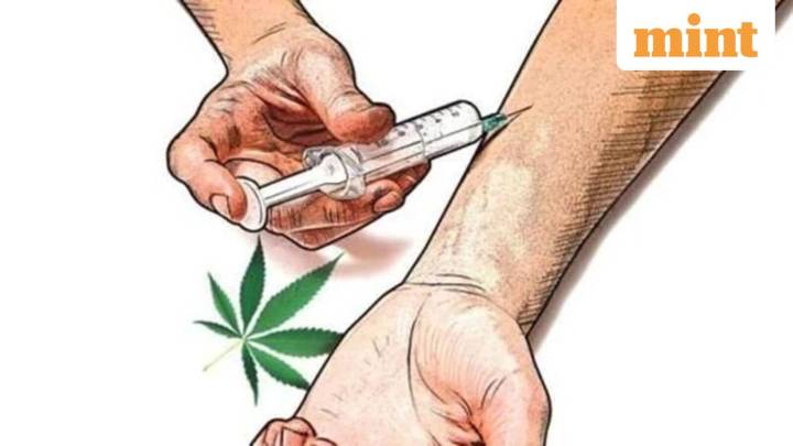 India, Pakistan named as 'major illicit drug producing countries' by Trump
