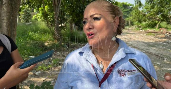 Impulsar? Madero proyecto de “Lady Taxis” para transporte seguro de mujeres