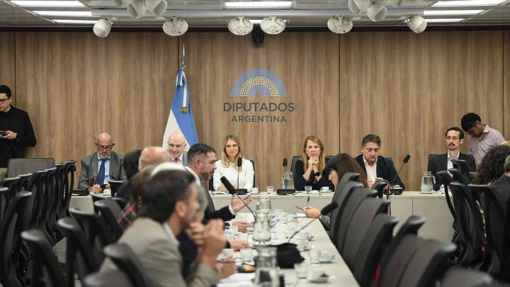 Diputados: la oposición avanzará hoy con el tratamiento de la ley que limita la capacidad de gobernar por DNU