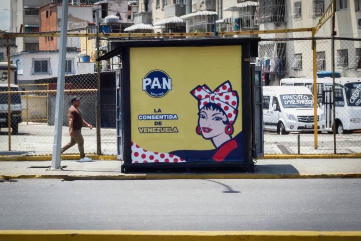 Alerta en Chile por micotoxina en lote de harina PAN