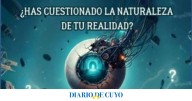Cine y filosofía para cambiar la percepción de la realidad: ¿Qué hacer para participar?