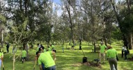 Fundación Traxión y voluntarios suman esfuerzos por el Bosque Los Colomos