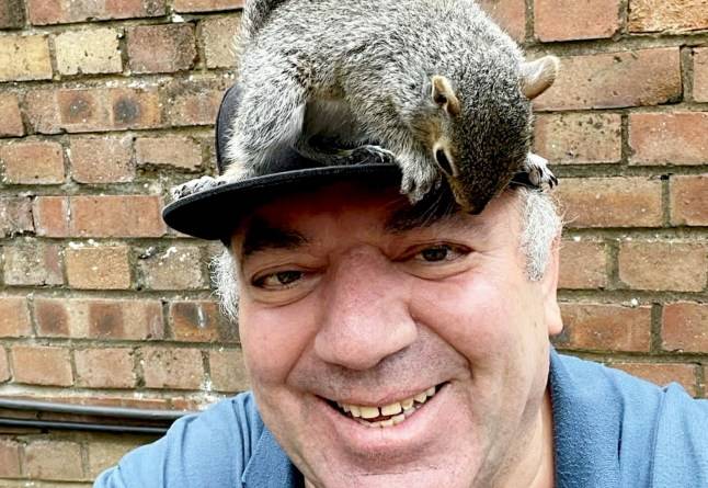 ‘He is my boy’: Man who saved injured squirrel says the pair are now inseparable