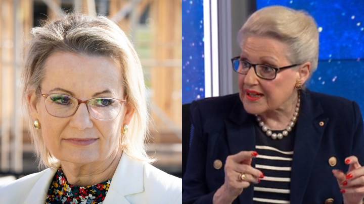 ‘I despair’: Former Liberals band together to fiercely condemn Sussan Ley for withdrawing vow not to adopt emissions reduction targets if elected