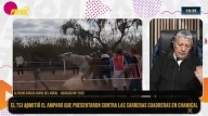 Alfredo García Garro del Moral: “Las carreras cuadreras deben regularse para proteger a los animales”