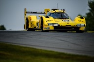 Müller returns to JDC-Miller for final two IMSA rounds