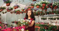 Survey: Small business owners are less confident about year