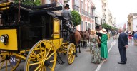 Concurso de Enganches de Ronda, en imágenes