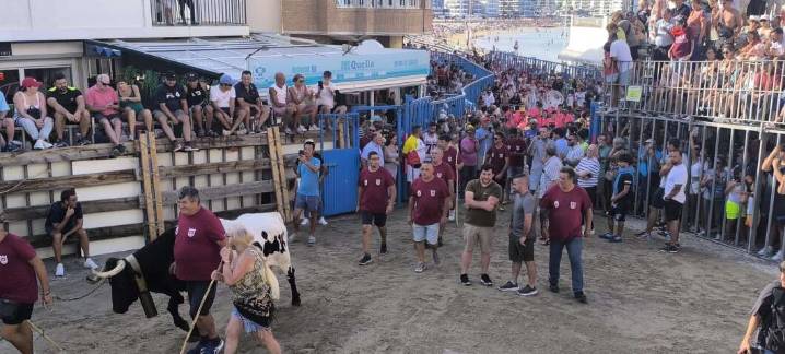 Peñíscola da inicio a sus tradicionales fiestas taurinas