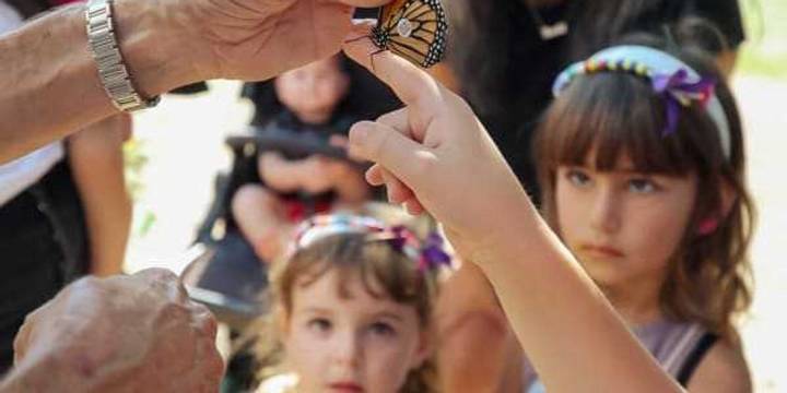 San Antonio Monarch Butterfly Festival flutters to Brackenridge Park