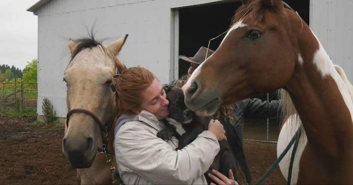 Quebec stable rebuilding after massive barn fire destroys everything