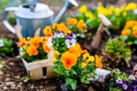 Albany offering fall gardening club for kids