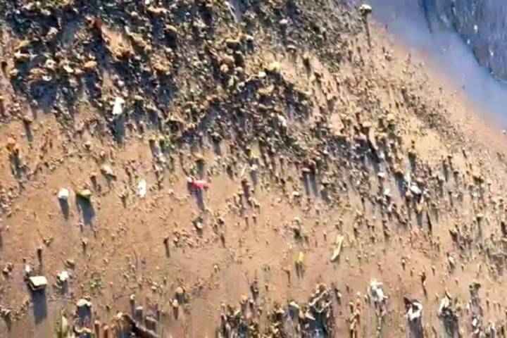 Fray Bentos: suspenden actividades por presencia de materia fecal en el río Uruguay