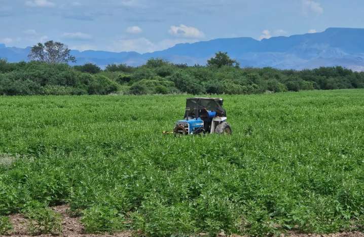 Responde gobernador Durazo a productores del sur de Sonora