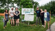Community gardens growing for the greater good