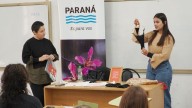 Diseña Paraná: cerraron las clínicas de emprendedores, rumbo a la feria de noviembre