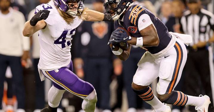 Minnesota Vikings rule out 3, including Andrew Van Ginkel, for Sunday's game against Falcons