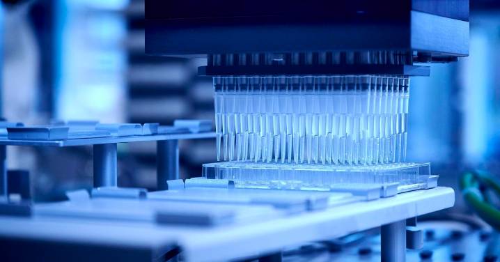 Investigadores cordobeses estudian el uso de peces como prevención frente al dengue, la malaria o el Zika