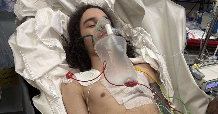 'My heart stopped when a thug stabbed my son, 15, with a massive zombie knife'