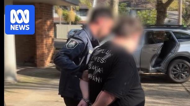 One woman, eight men charged with child abuse offences following NSW raids