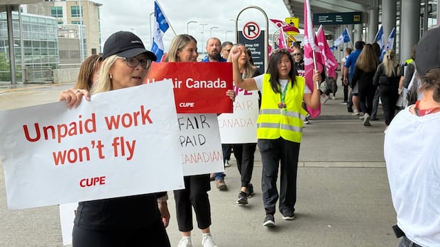 Government lays out next steps in probe of unpaid work in airline industry