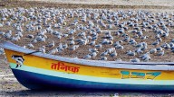 Mumbai Diary: Thursday Dossier