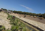 Alicante limpia el barranco que va desde Santa Faz a la playa de la Albufereta para evitar inundaciones por lluvias torrenciales