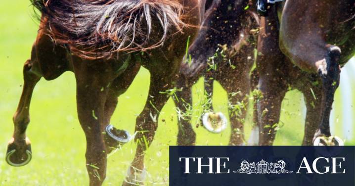 Race-by-race preview and tips for Gundagai on Sunday