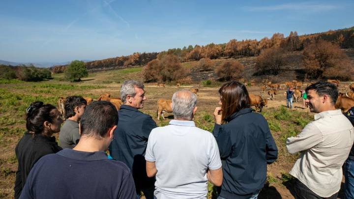 Rueda destaca el papel de la ganadería extensiva frente a los incendios y anuncia nuevas ayudas al rural