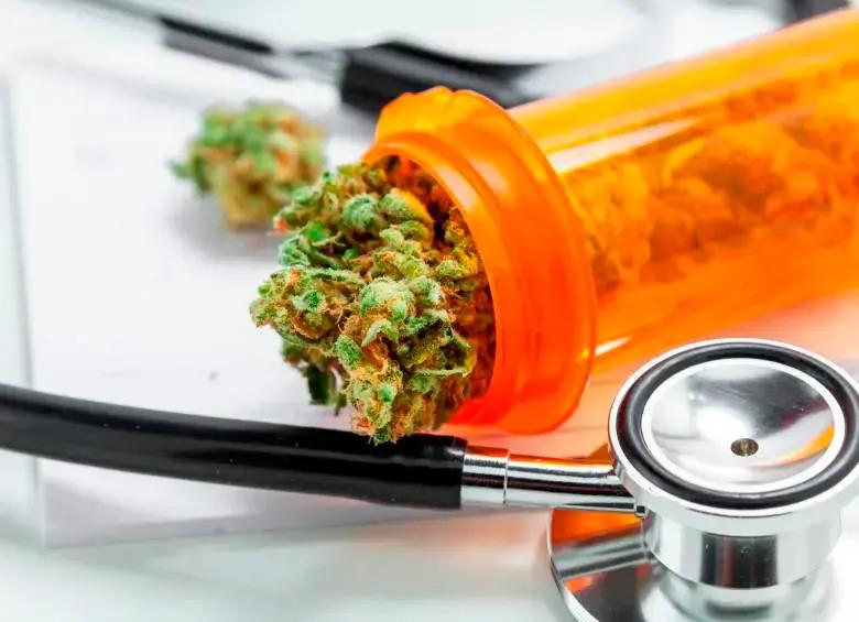 ¿La mata que alivia? Un extracto de cannabis mitigaría los dolores lumbares crónicos