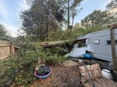 Tree falls on Lafayette Co. home during Sunday storms